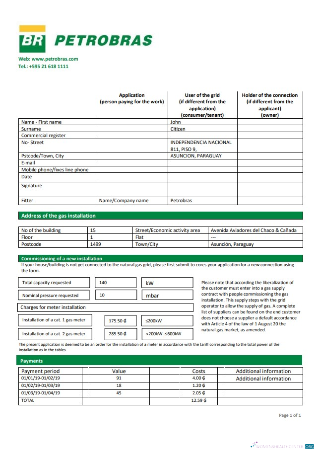 Paraguay Petrobras Paraguay Operations and Logistics gas company utility bill template in Word and PDF format